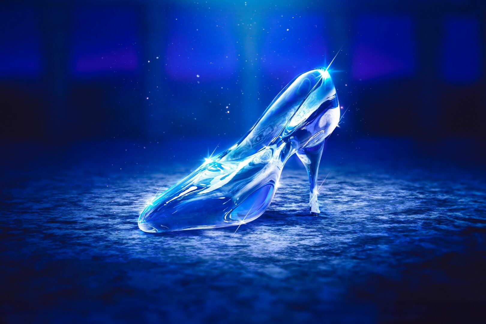 Cinderella slipper