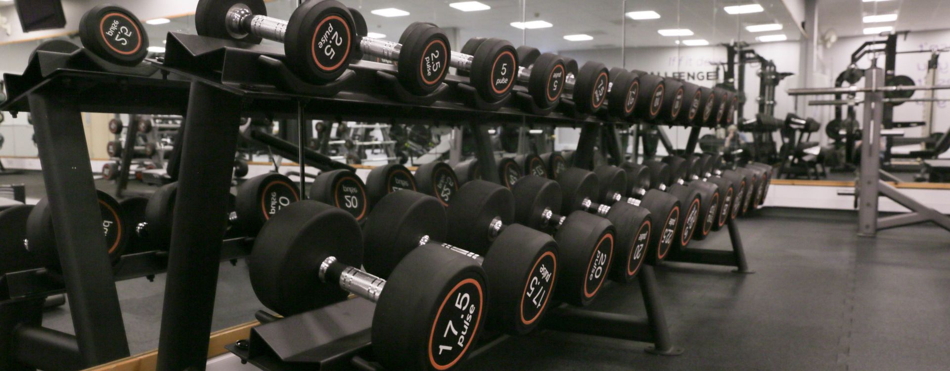 Weights in a gym