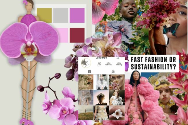Fashion Business student work