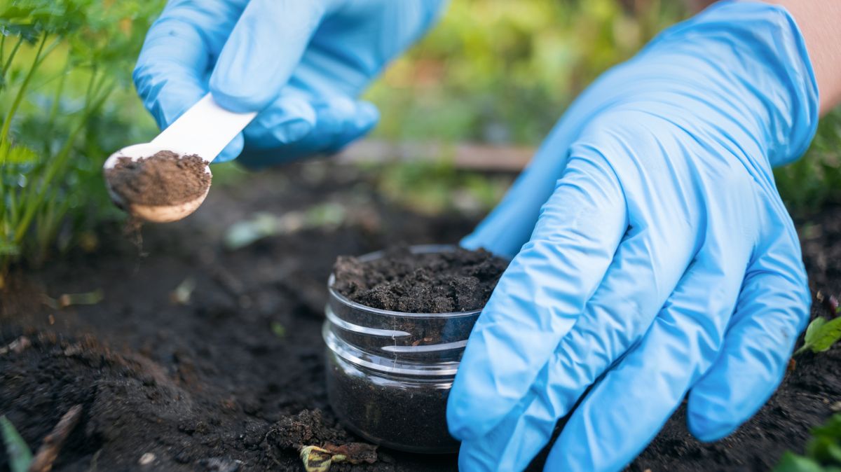 Environmental Science