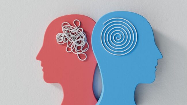 Cut outs of heads, one pink and one blue, with paper to represent the brain