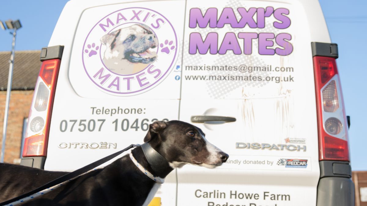 Maxi's Mates